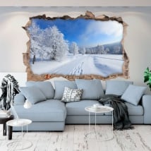 Vinyl hole wall nature in winter 3d