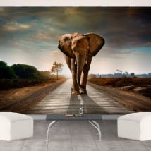 Vinyl wall murals elephant