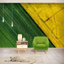 Vinyl murals colors nature