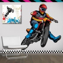 Decorative vinyl and stickers motocross