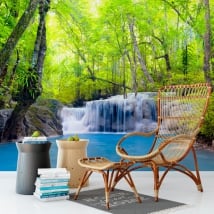 Wall murals of vinyl waterfalls in the forest