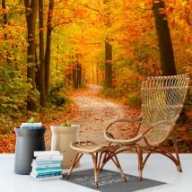 Murals of vinyl trees in autumn