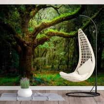 Vinyl wall murals forest trees