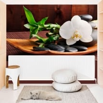 Vinyl wall murals with zen style