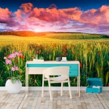 Wall murals poppies in the field at sunset