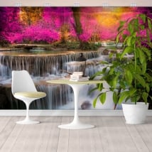 Wall murals with waterfalls in the forest