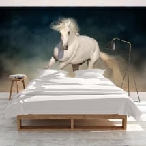 Adhesive murals white horse