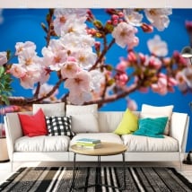 Wall mural japanese cherry blossom