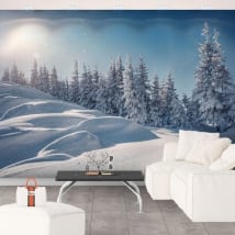 Vinyl murals sunset in winter