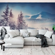 Vinyl wall murals winter in the carpathian mountains