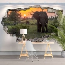 Vinyls and 3d stickers elephant sunset in africa