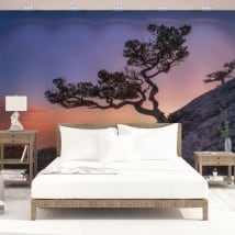 Vinyl wall murals tree and sunset