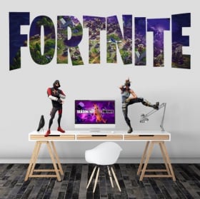 Vinyl and stickers fortnite life