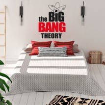 Vinyl and stickers the big bang theory