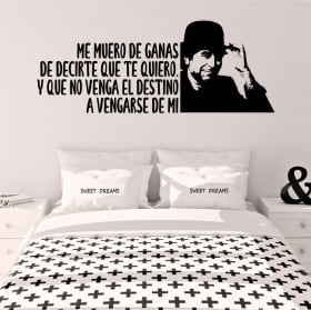 Vinyl and stickers phrase joaquín sabina