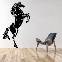 Decorative vinyls and stickers horse