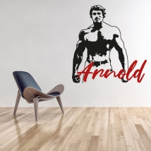 Vinyl and stickers arnold schwarzenegger