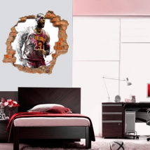 3d decorative vinyl basketball lebron james nba