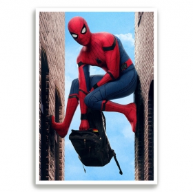 Posters photographic paper spider-man