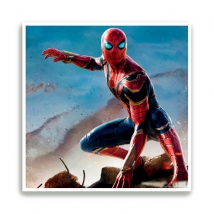 Decorative print or poster spider-man