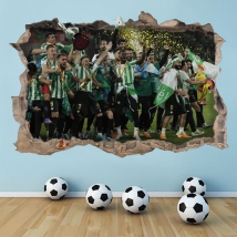 Vinyl 3d football real betis football