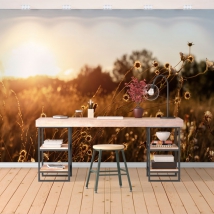 Wallpaper or wall mural landscape flowers field at sunset