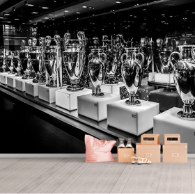 Wall mural or wallpaper bernabeu real madrid cups