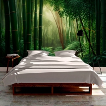 Bamboo forest balance wallpaper or mural