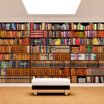 Wallpaper or mural bookshelf horizontal bookstore