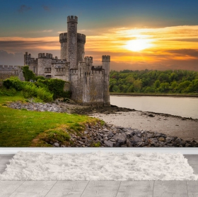 Wallpaper or wall mural castle in sunset landscape with lake