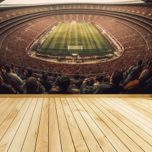 Wallpaper or mural football stadium full bird's eye view