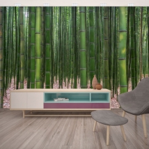 Wall mural or wallpaper green zen bamboo forest decoration