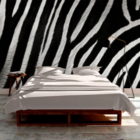 Wall mural or wallpaper zebra skin texture close-up decoration