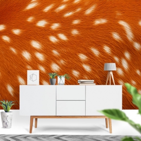 Wall mural or wallpaper deer skin texture close-up decoration