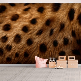 Wall mural or wallpaper cheetah skin texture closeup decoration