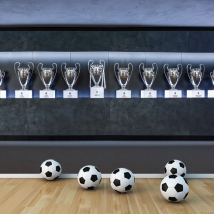 Wall murals real madrid cups europe football