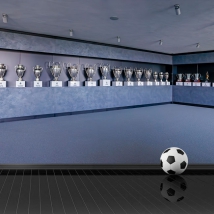 Real madrid football cup wall murals