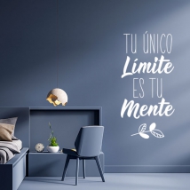 Decorative vinyls and stickers with motivational phrases your only limit is your mind